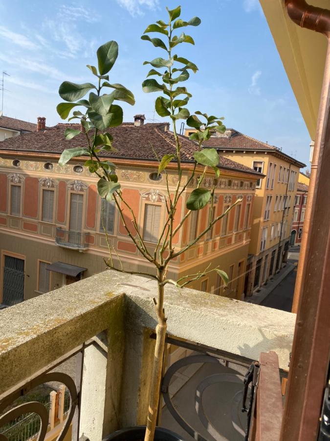 Apartamento Loft Manzoni 37 Cremona Exterior foto
